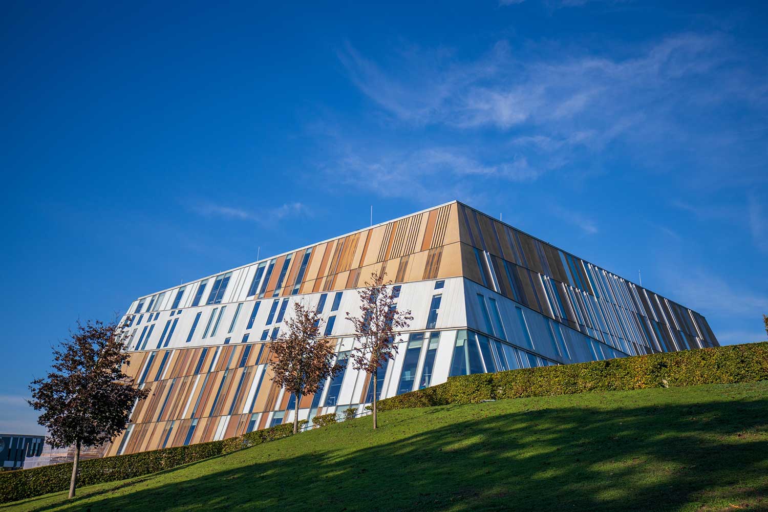 Metzo College Metzo College